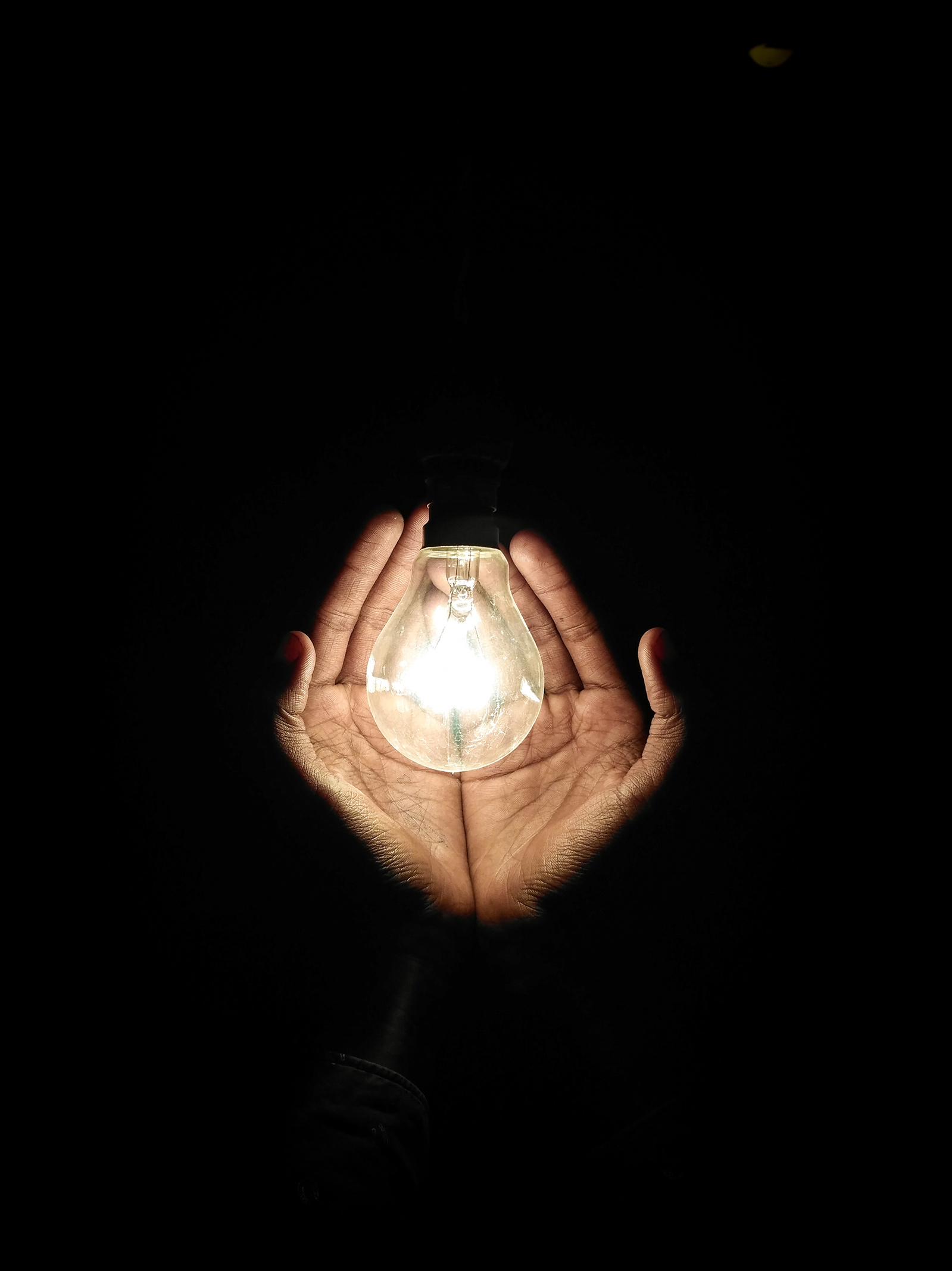 Hands and lightbulb